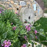 Bluvari' Charming House Алассио