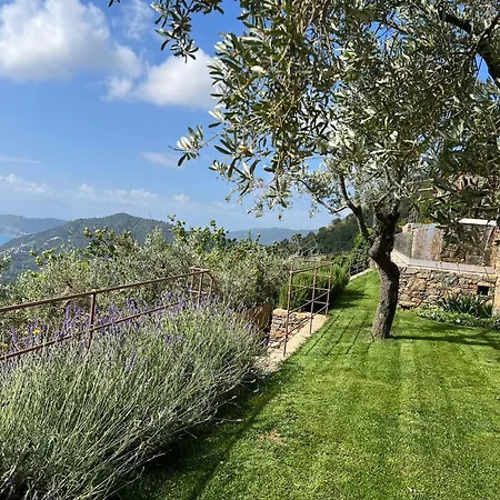 Bluvari' Charming House