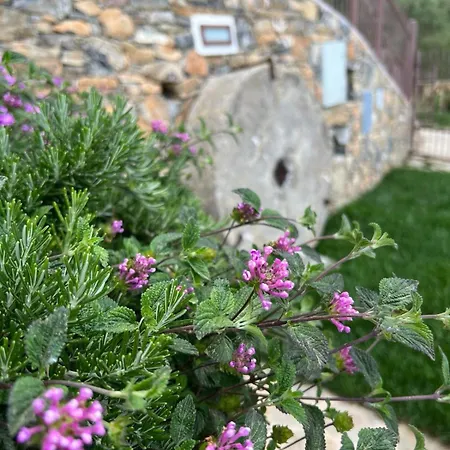 Bluvari' Charming House Alassio