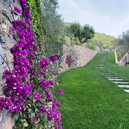 Bluvari' Charming House Villa *